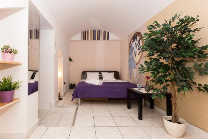 Apartament Hall - Basement *